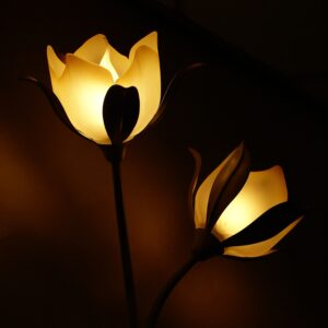 lamps, flowers, illuminated-558122.jpg