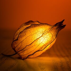 light, glow, leaf-1853025.jpg